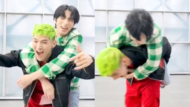 Kok dia bisa terbawa suasana?! Xiao Jun BM Tantangan ILEGAL! Anjing cangkir teh yang super lompat~