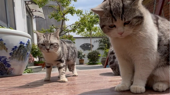 Brother Gang’s garlic-flavored crayfish is seriously next-level—check the video for the full method.