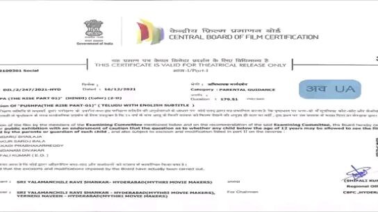 𝑷𝒖𝒔𝒔𝒑𝒂 𝒓𝒂𝒋