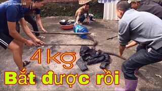 SĂN BẮT ẨM THỰC VÙNG CAO | GIÚP EM TRAI BẮT RẮN HỔ MANG 4KG KHỦNG DƯỚI GIẾNG SÂU | THÚ VUI HOANG DÃ