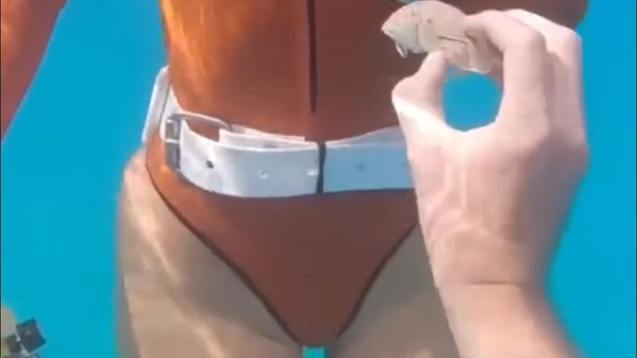 أثناء الغوص، اكتشفت فجأة شيئًا يُفقِدك صوابك تمامًا! كدتُ أُمْتَصّ في “مؤخرة البحر” لو لا الحظ!