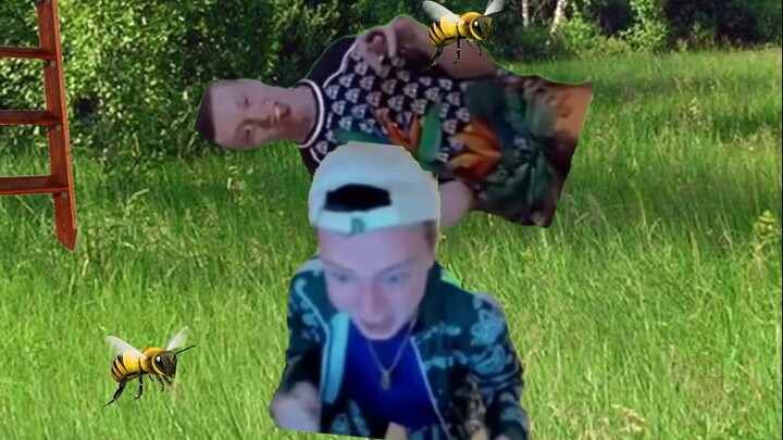 Summary: "Being chased by bees can lead you into another world"