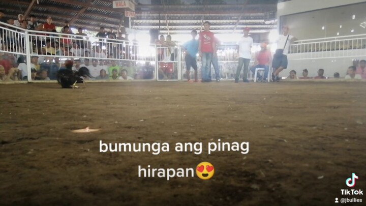 226 X Leiper. ( unscratched)