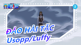 [ĐẢO HẢI TẶC: Stampede] Usopp/Cảm động/Hoành Tráng| Lần này ta sẽ bảo vệ Luffy_2
