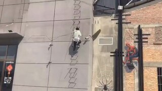 ระบบเฝ้าระวัง: ทำไมมีแมลงตัวเล็กๆ ที่ยังพ่นน้ำได้ด้วยล่ะ?