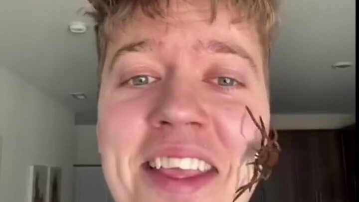 Try the spider filter on the people around you and see their reactions!