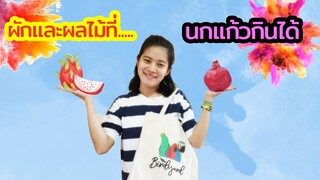 ผักผลไม้ที่นกแก้วกินได้ EP.35