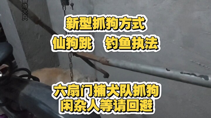 A new dog-capturing method: the “fairy dog jump” and entrapment-style enforcement. The dog owner has