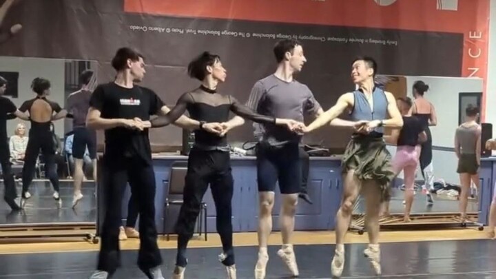 These four swans are really energetic!