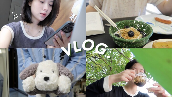 VLOG: November Home Routine | Seasonal Closet Organizing | Solo Dining 🍜 | Made So Much Food