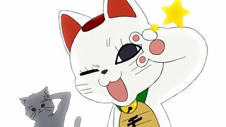 【当哒当】原来是高速婆婆啊，我还以为是猫猫呢