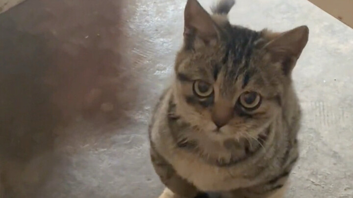 “Under the endless clear sky, all I see is your face.”