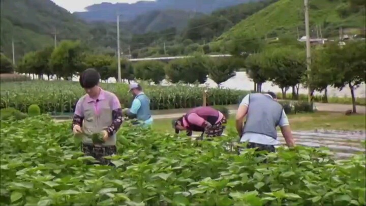 GBRB: Reap What You Sow Eps-03 ||Sub Indo