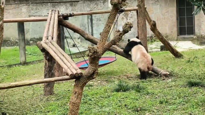 Mother and daughter are having fun