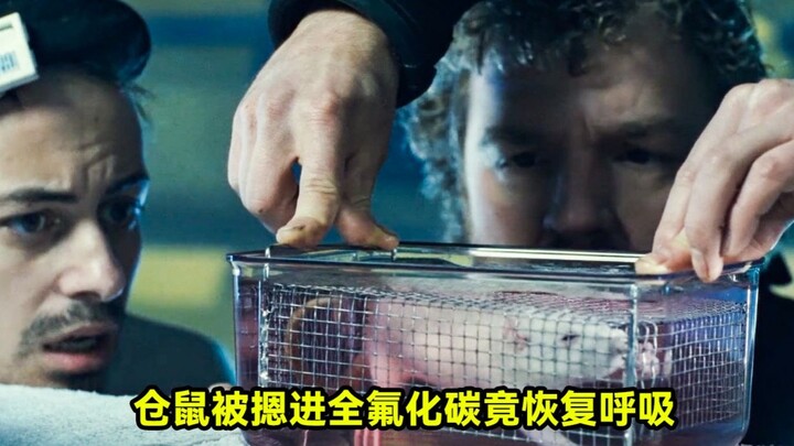 男人将仓鼠摁进全氟化碳，没想到它竟恢复了呼吸
