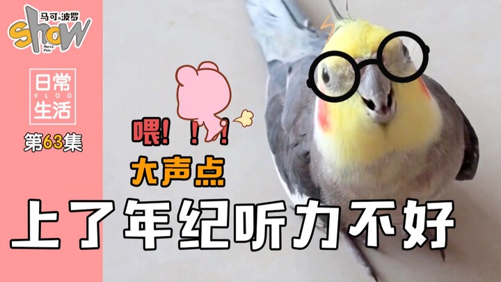 The little parrot imitates its owner making a phone call, then switches to mimicking the neighbor’s 