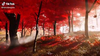 bài này nghe cũng rất hay