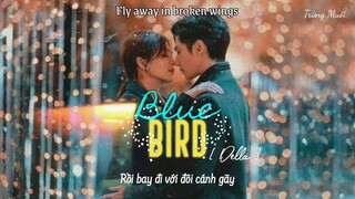 [Vietsub + Lyrics] BLUE BIRD - ĐINH ĐANG ( Nửa là đường mật, nửa là đau thương OST/ 半是蜜糖半是傷  Ost)