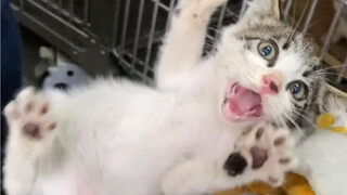 I was so scared that I was adopted.