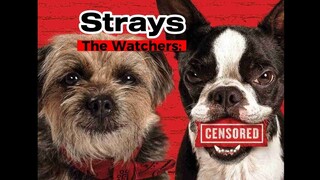 watch Full Strays 2023 [HD] 1080p | Link in Description