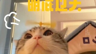 People who get @mentioned also feel this happyヾ(^▽^*)))