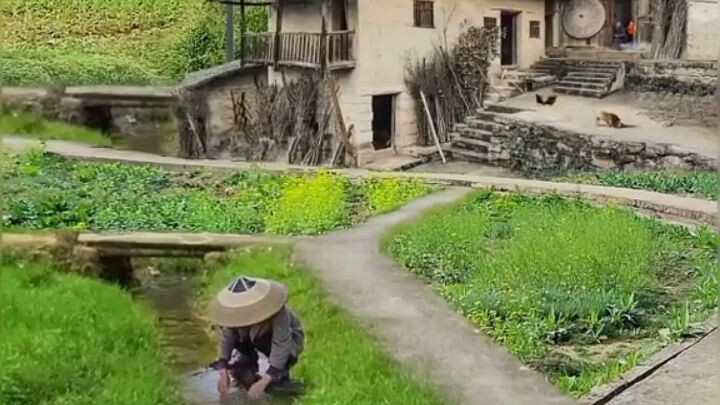 my home town