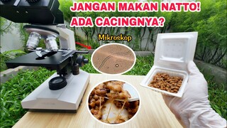 ZOOM 1000X:  NATTO makanan khas JEPANG