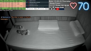 Sleep Stream 15.05.2025