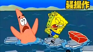 ⚡️The confusing behavior of marine life⚡️(15)