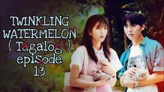 TWINKLING WATERMELON EPISODE 13 TAGALOG