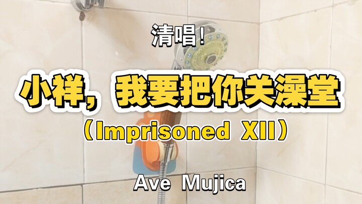 【清唱】初华在浴室发布中文力作《小祥，我要把你关澡堂》！Imprisoned XII！
