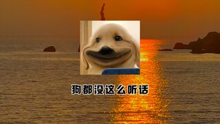 原来我是学生啊？我还以为我是畜生呢