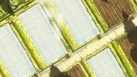 สไลม์ครับ