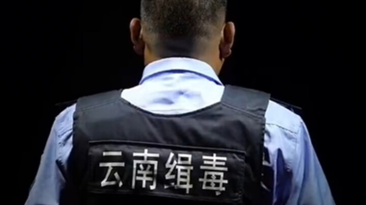 Support Never-Unfreezing Artists with Scandals