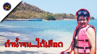 ดำน้ำหากุ้งหาปลากลับได้เลือด หลังนั่งเรือเที่ยวเกาะขามสไตล์korattv