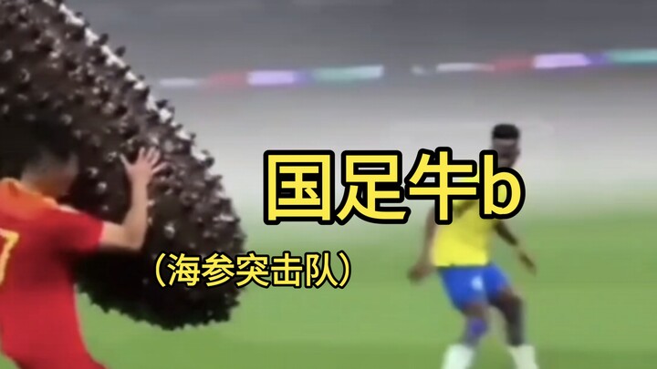 Tim Serangan Cepat Teripang, Harapan Besar Timnas China