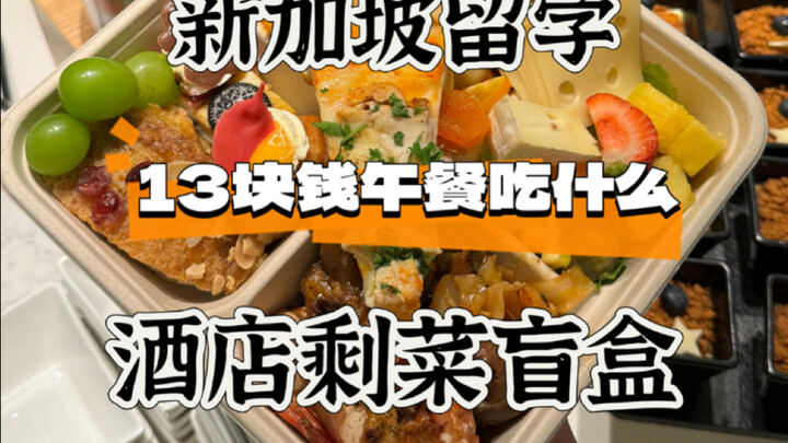 Belajar di Singapura, makan siang 13 dolar bisa makan apa? Kotak misteri sisa makanan hotel!