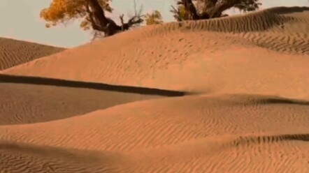 “Nhà làm hiệu ứng quý vật” chấm điểm 9,9 trên Douban