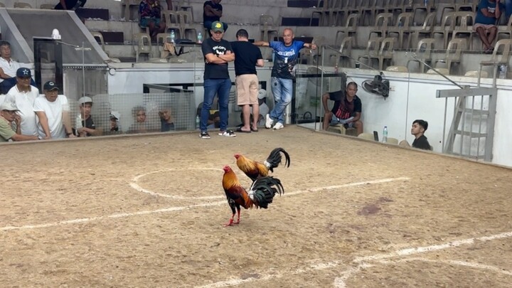 PCC 3COCK @SOLANA SPORTS AND AMUSEMENT CENTER - WLW