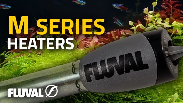 MIRRORING NATURE | Fluval M Series Heaters