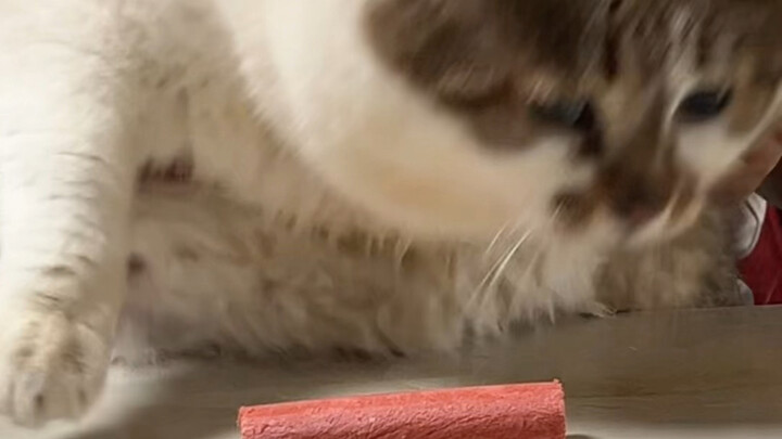 Tạch tạch tạch