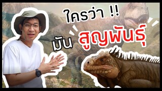 อีกัวน่าหน้าชมพู ตัวแรร์ หายากใกล้สูญพันธุ์ ?? ( Lesser Antilles Iguana ) Minizoo cafe EP.7