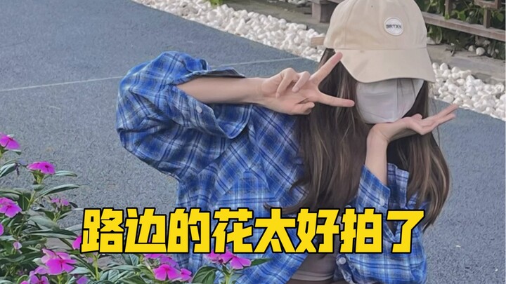 ดอกไม้ที่เจอข้างทางช่างถ่ายรูปง่ายซะเหลือเกิน