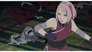 my Sakura💕
