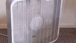 原来风扇也会拒绝上班...