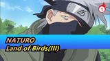 NATURO|[Kakashi]Land of Birds(III)Battle with the wandering Ninja_A1