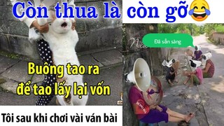 Còn thua còn gỡ - Top comment hài hước Face Book (p236)