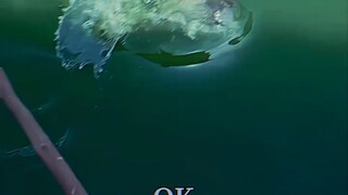 ปลา: วันนี้เจอสาวนอร์เวย์