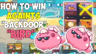 TIPS AND TRICKS ON HOW TO WIN AGAINTS "BACKDOOR BIRD" AXIE INFINITY ARENA TUTORIAL 2,5K+ MMR