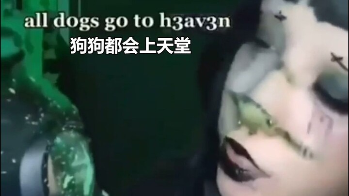 What about Paw Patrol?